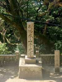 尾道の絶景と静寂に包まれる、千光寺で心癒される旅
