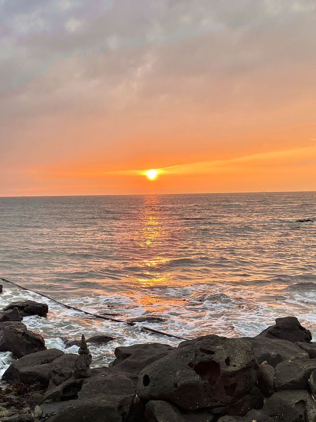 🏖️ 여름 제주도, 바다 따라 걷기만 해도 힐링이야🌊✨