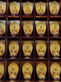 Peaceful Moments and Beautiful Statues at Jade Buddha Temple Shanghai