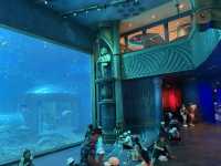 หลบร้อนจาก fun park มา Aquarium @ Vinwonder