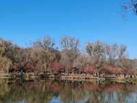 Chengde Mountain Resort: A Misty Painting Come to Life