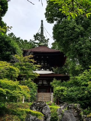 Tranquil Sanctuary—Kimiidera Temple