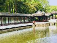 Zhujiajiao: The Perfect Balance of Charm and Accessibility
