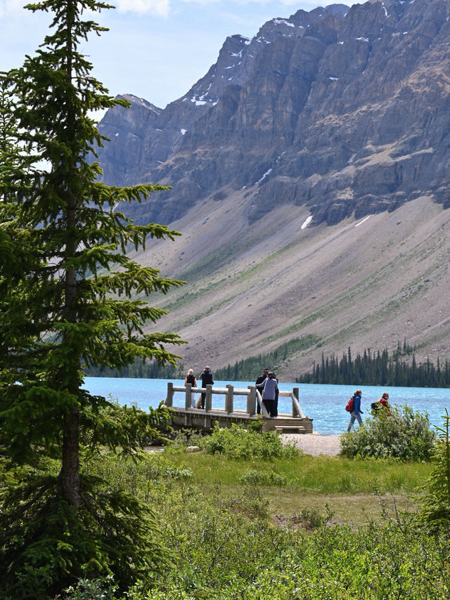Bow Lake Banff   Bow Lake Banff