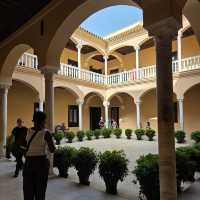 Picasso Museum, Malaga 🇪🇸