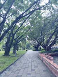 台北|象山公園|城市綠洲的健行與賞景之旅