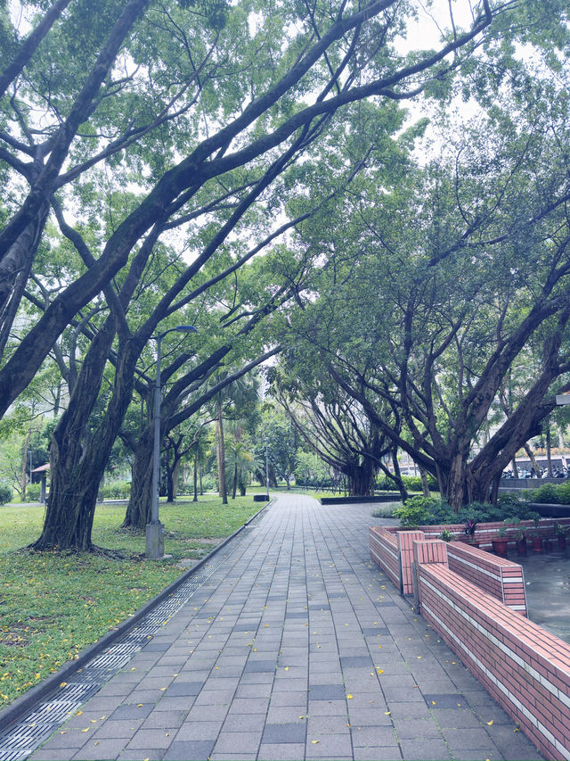 台北|象山公園|城市綠洲的健行與賞景之旅 台北|象山公園|城市綠洲的健行與賞景之旅
