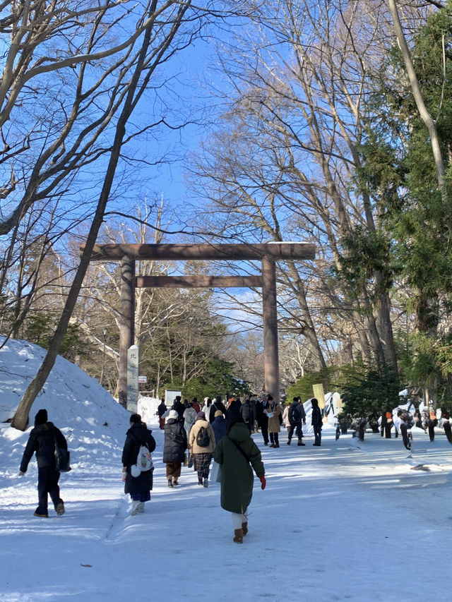 올 겨울은 일본 눈의 낭만, 홋카이도에서 보내보세요! ❄️