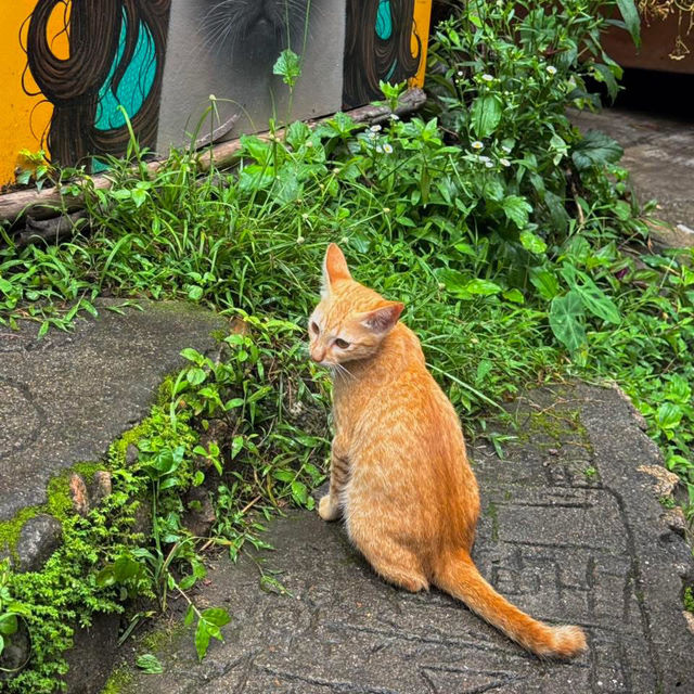 แม่กำปองในวันที่ฝนตก ชุ่มฉ่ำหัวใจสุดๆ 🌧️🍃