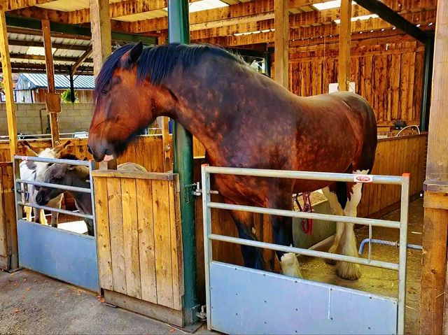Reddish Vale Country Park – Nature on the Edge of the City Reddish Vale Country Park – Nature on the Edge of the City