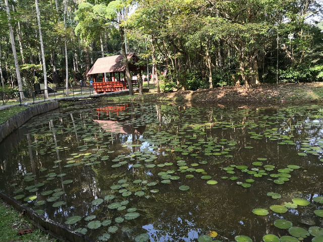 From Chartered Company to Death March: How the Museum Tells the Dual-Sided Epic of Sandakan