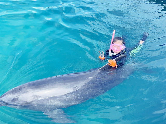 石垣島必打卡海底世界體驗🐬   石垣島必打卡海底世界體驗🐬
