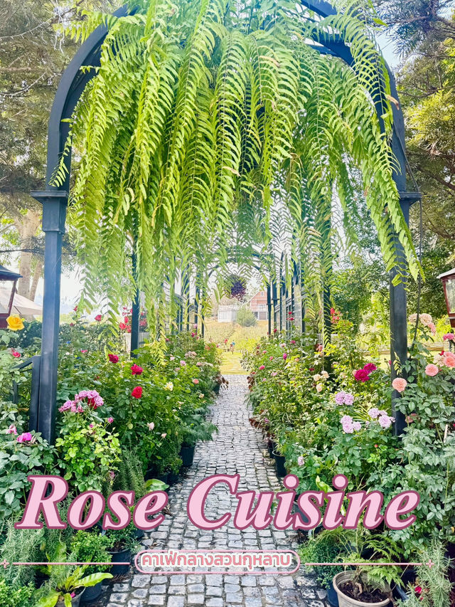 🌹คาเฟ่กลางสวนกุหลาบใหญ่ถึง70ไร่ ที่วังน้ำเขียว 🌹 🌹คาเฟ่กลางสวนกุหลาบใหญ่ถึง70ไร่ ที่วังน้ำเขียว 🌹