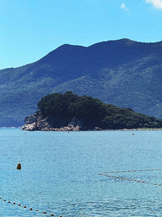 요즘 핫플 부산 근교 스노클링 명소 윤돌섬 🐟