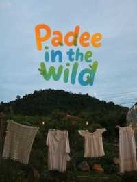 🌿☕✨ Padee in the Wild - Rayong ✨