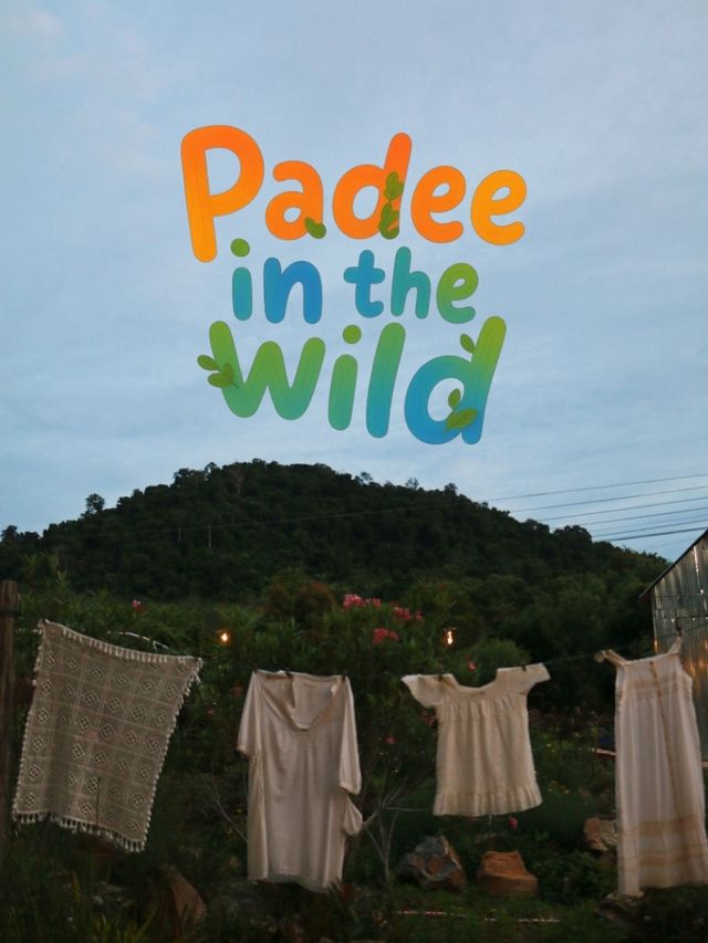 🌿☕✨ Padee in the Wild - Rayong ✨