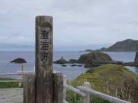 【花の浮島・礼文島】🌼絶景ハイキングとグルメ旅ガイド