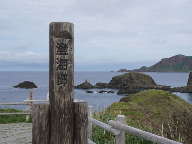 【花の浮島・礼文島】🌼絶景ハイキングとグルメ旅ガイド 【花の浮島・礼文島】🌼絶景ハイキングとグルメ旅ガイド