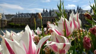 海牙（The Hague）