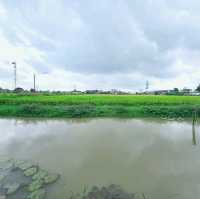 ก๋วยจั๊บบรรยากาศดีในอำเภอบ้านโพธิ์