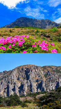 ที่เกาะเชจู พิกัดที่ต้องมา 