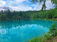 【北海道】彩りどりの自然の色に癒される富良野