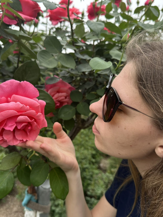 Shanghai Botanical Garden