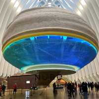 Ciutat de les Arts i les Ciències A Futuristic Cultural Wonderland