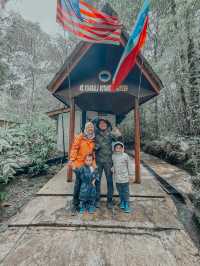 Mount Kinabalu Botanical Garden – A Hidden Gem at the Foot of the Mountain