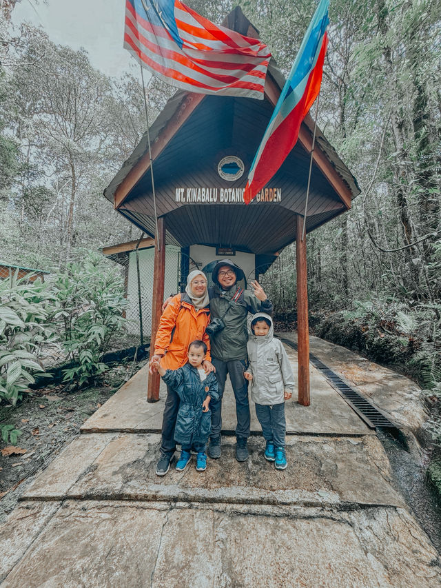 Mount Kinabalu Botanical Garden – A Hidden Gem at the Foot of the Mountain