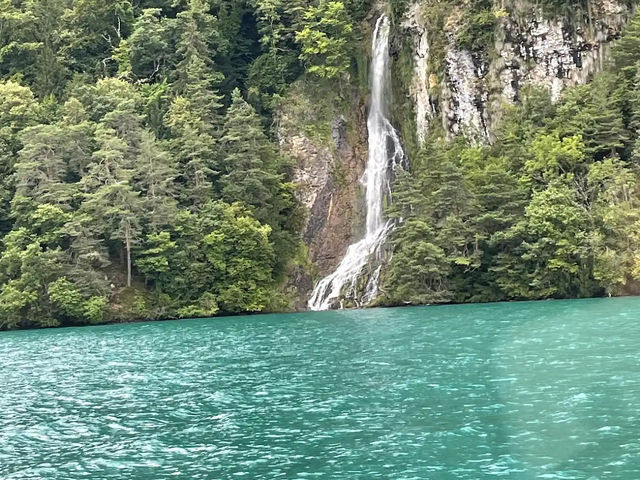 lake turned 