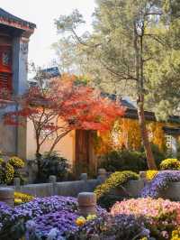 Wuxi and Taihu