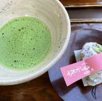 【東京町田】美しい池と植物の楽園