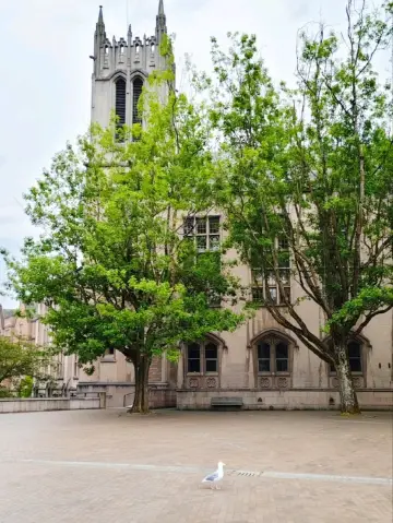 University of Washington: The Most Prestigious University in the Pacific Northwest