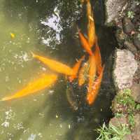 嶺南名園順德清暉園
