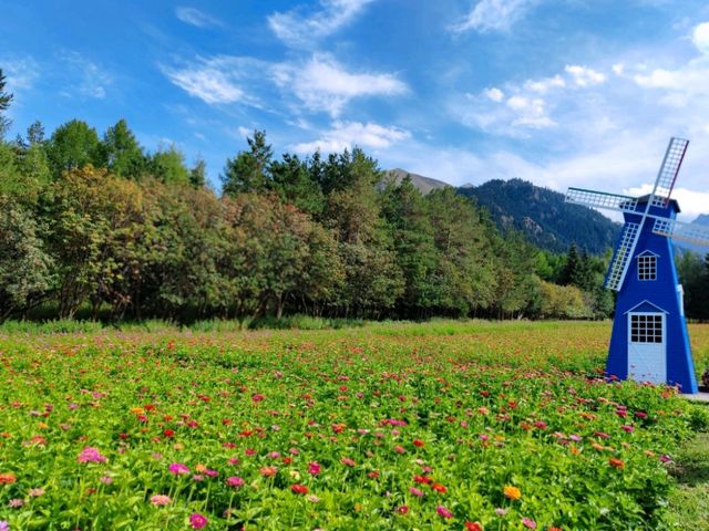 陸河九月治癒之旅 靚景chill爆