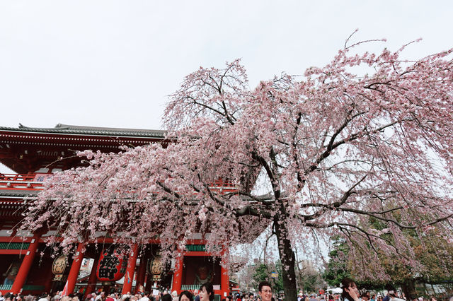淺草景點介紹