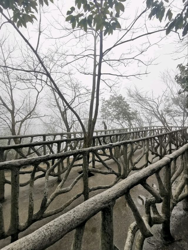 🏔️ จางเจียเจี้ย เมืองแห่งขุนเขาและสวรรค์บนดิน