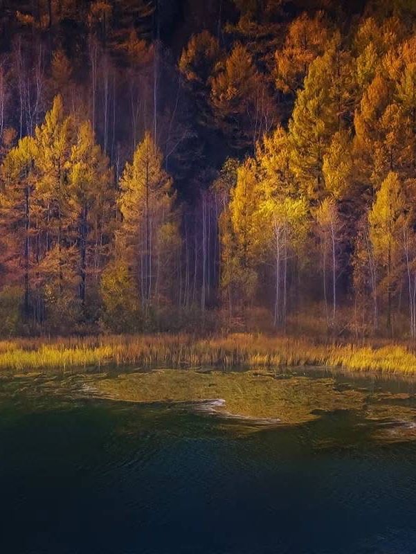 Greater Khingan Range – Daxing’anling & Arxan