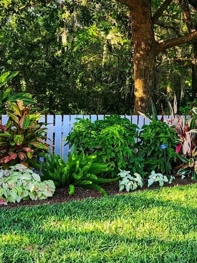 🌸 “Harry P. Leu Gardens – Orlando’s Blooming Paradise!” 🌸 “Harry P. Leu Gardens – Orlando’s Blooming Paradise!”