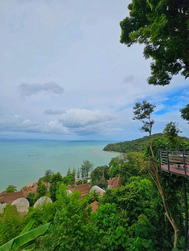 Where the Sky Meets the Sea — Hilltop Cafe Magic