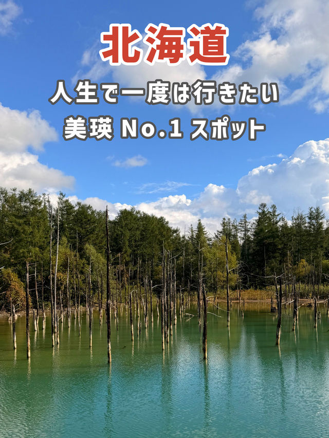 【北海道】幻想的すぎる青の世界🏞✨ 【北海道】幻想的すぎる青の世界🏞✨
