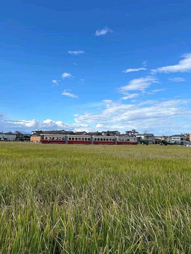 Erhai Lake Wonders and Amazing: Nature, Culture, and Calm