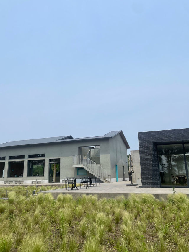 🥗🍚블루보틀 제주 동쪽 구좌 카페 가볼만한곳