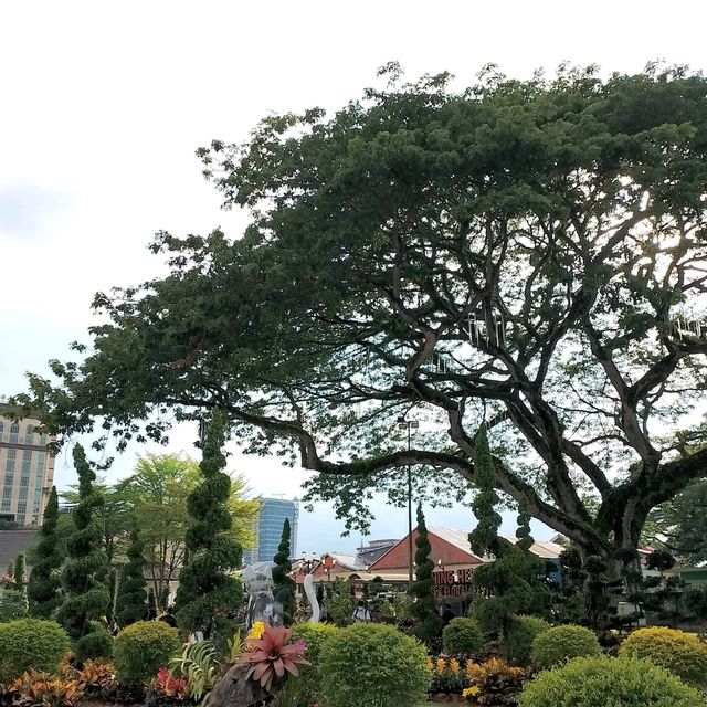 Kuching Heritage Lights & Floral Festival 2025