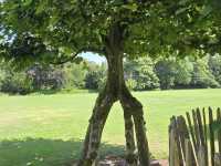 Arboretum Kalmthout