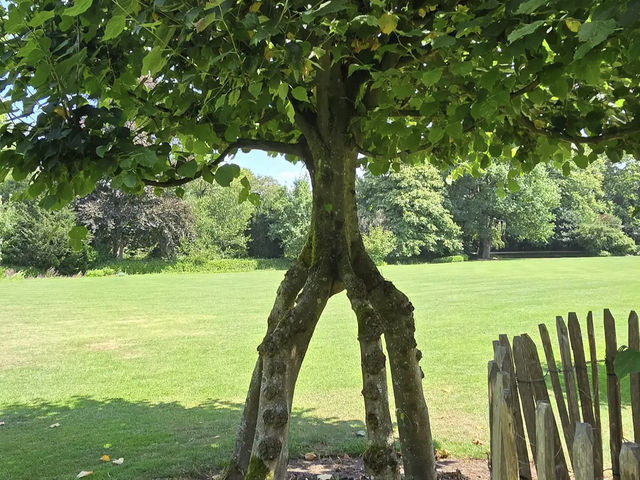 Arboretum Kalmthout
