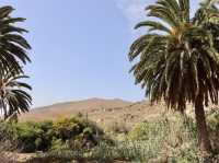 Golden Sands and Endless Freedom on Fuerteventura