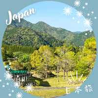 【和歌山】熊野古道🌄中辺路 ― 大雲取越の壮大な山道