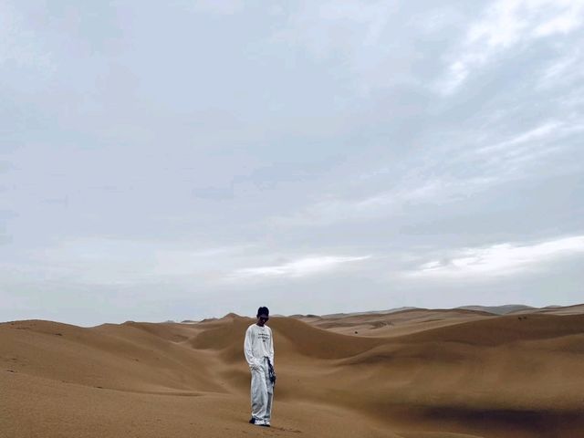 Desert Daydreams✨